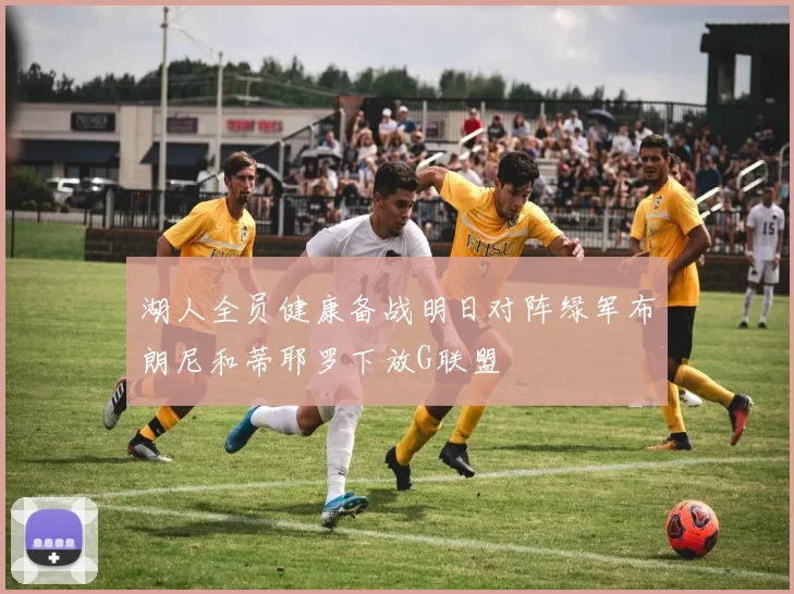 湖人全员健康备战明日对阵绿军布朗尼和蒂耶罗下放G联盟
