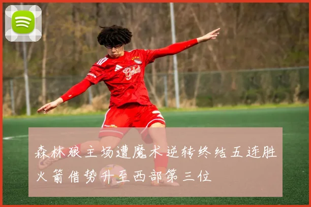 森林狼主场遭魔术逆转终结五连胜火箭借势升至西部第三位
