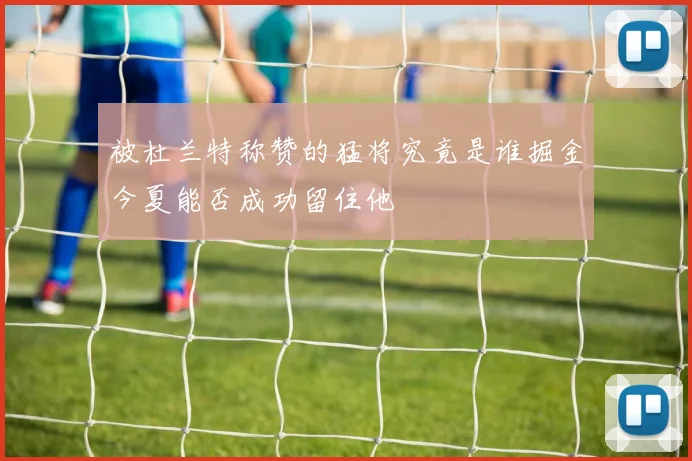 被杜兰特称赞的猛将究竟是谁掘金今夏能否成功留住他