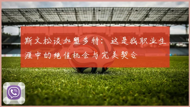 斯文松谈加盟多特：这是我职业生涯中的绝佳机会与完美契合